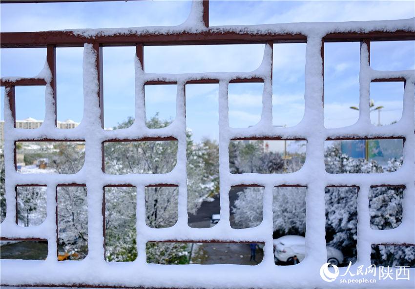 11月6日晚，古城西安迎來2021年第一場雪。吳超攝