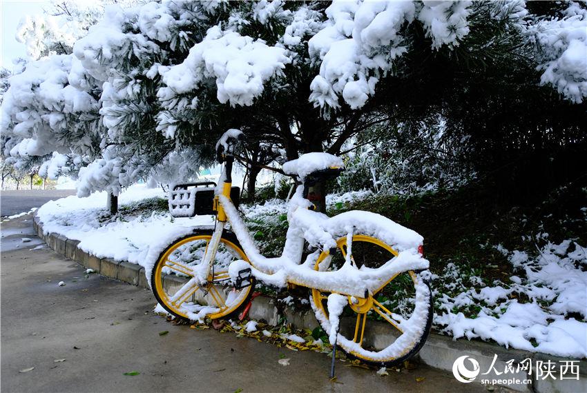 11月6日晚，古城西安迎來2021年第一場雪。吳超攝