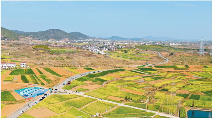 3月15日，2024最美油菜花海漢中旅游文化節(jié)（第15屆）暨全市春季主題招商周活動在漢中市洋縣啟動。圖為洋縣洋州街道龍泉觀花點。