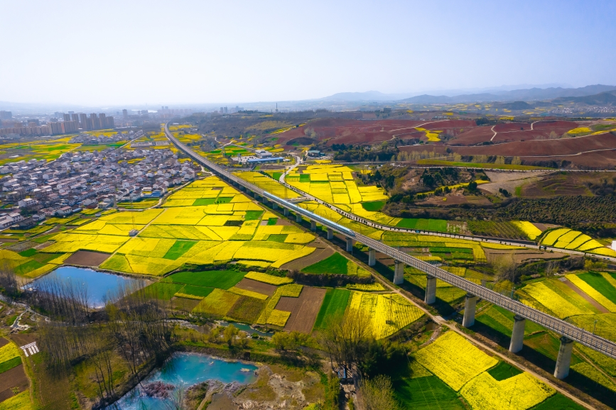 高鐵動(dòng)車組穿越油菜花海。劉一江攝